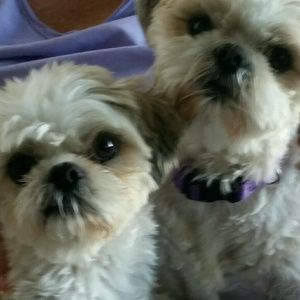 Meet your Posher, Connie